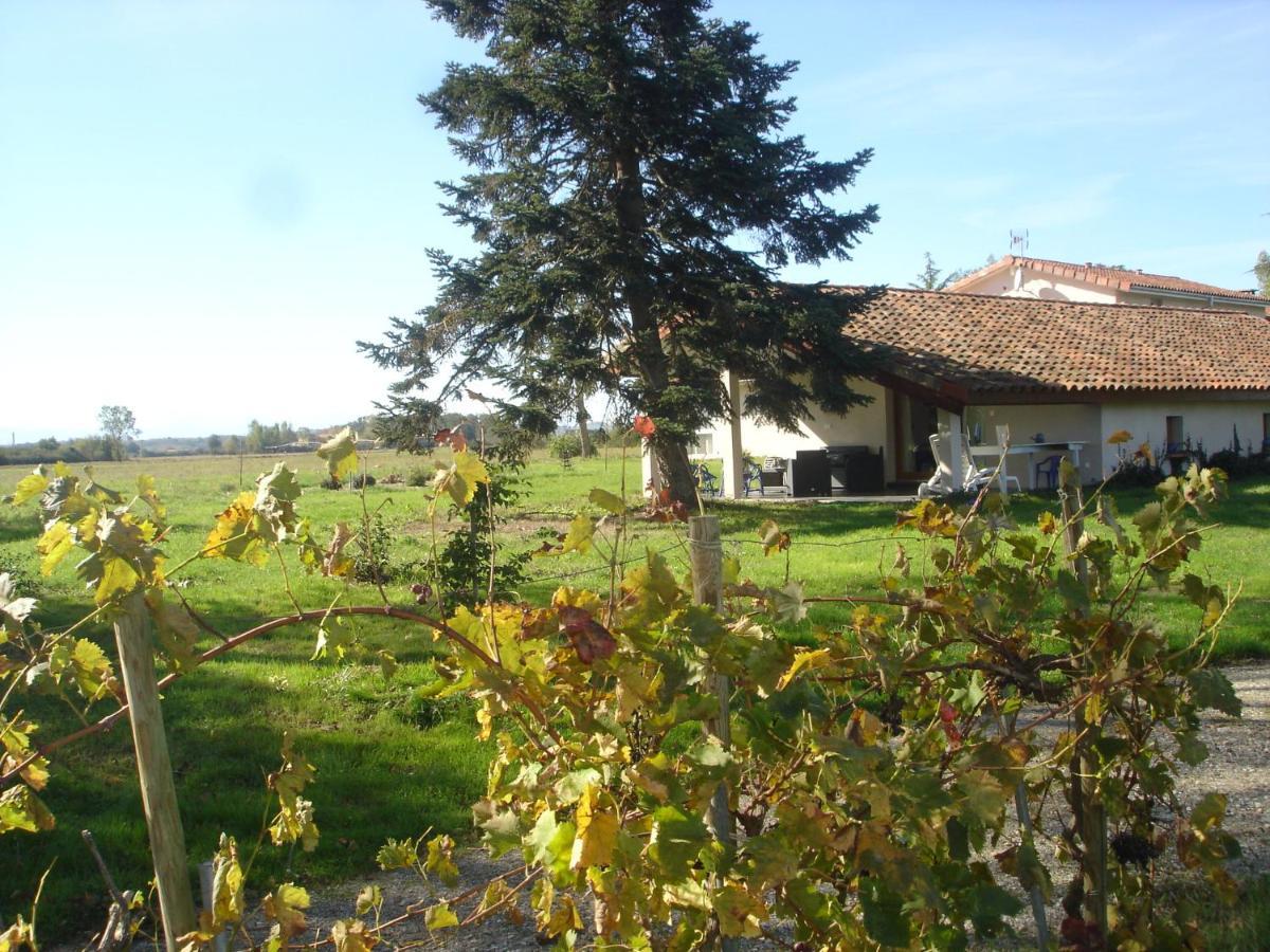 Location Gite 4 Personnes Mazeres - La Petite Maison Bagian luar foto