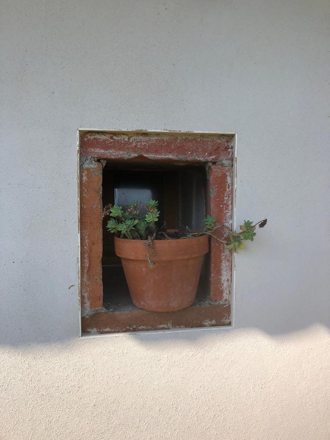 Location Gite 4 Personnes Mazeres - La Petite Maison Bagian luar foto